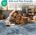 5x7 Ft Area Rugs for Living Room, Soft Non-Slip Washable Rugs Modern Abstract - Image 5
