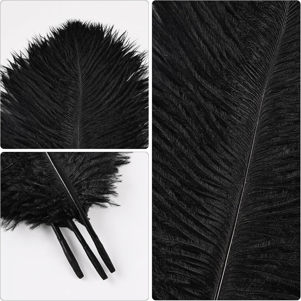 THARAHT Black Ostrich Feathers 12pcs Natural Bulk 8-10Inch 20cm-25cm for Crafts Wedding Party Centerpieces Halloween and Home Decoration Feathers