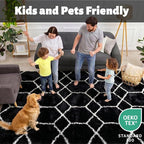 Area Rugs for Bedroom Living Room, 4x6 Fluffy Black and White Geometric Rug | - Image 3
