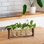 YIBOT Plants Propagation Stations,Plant Terrarium with Wooden Stand,Wall Hanging Glass Planter Plant Propagation Vase for Indoor Office Home Garden Decor Plant Lover Gifts for Women-5 Bulbs