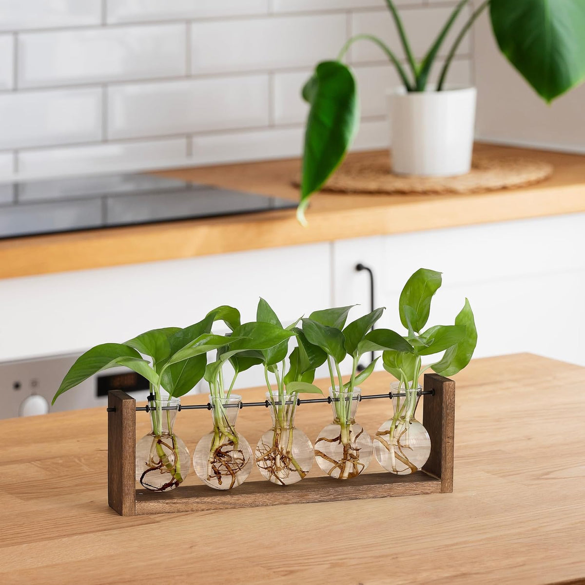 YIBOT Plants Propagation Stations,Plant Terrarium with Wooden Stand,Wall Hanging Glass Planter Plant Propagation Vase for Indoor Office Home Garden Decor Plant Lover Gifts for Women-5 Bulbs