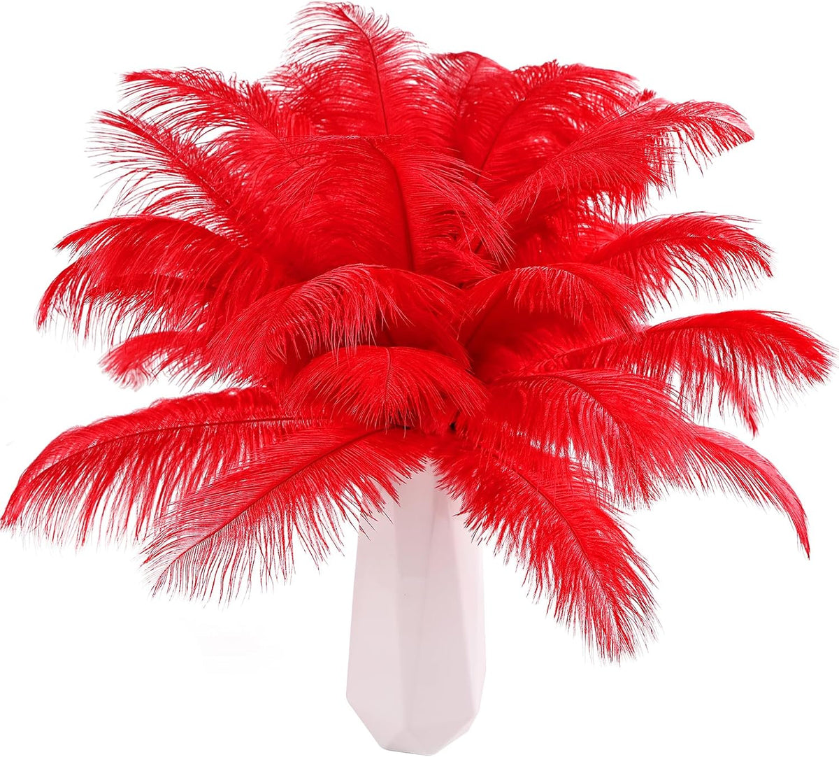 THARAHT Red Ostrich Feathers 12pcs Natural Bulk 8-10Inch 20cm-25cm for Crafts Wedding Party Centerpieces Flower Arrangement Halloween and Home Decoration Feathers