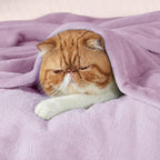 Bedsure GentleSoft Fleece Throw XL Blanket Light Purple - Image 2