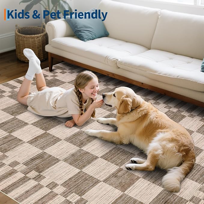 GarveeHome Checkered Rug 4x6 Area Rugs - Image 9