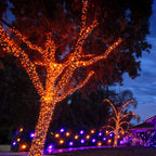 TW SHINE Orange Halloween Lights, 20FT 100 Count Incandescent Mini String Lights, Waterproof Halloween Decorations for Outdoor Indoor Patio Home Party Garden Yard Decor
