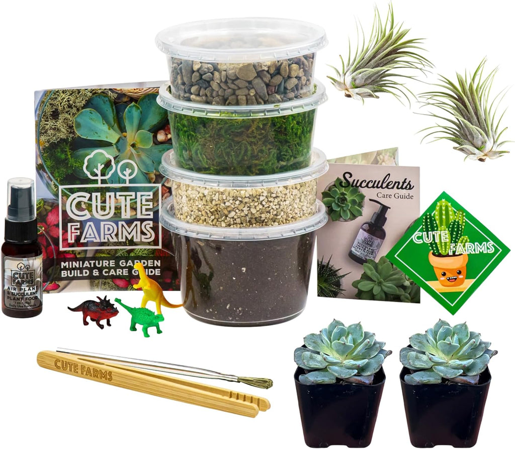 Cute Farms Terrarium Starter Kit | Moss, Vermiculite, Soil, Pebbles, Plant Food, & Finishing Tools (Medium Kit + Live Plants)