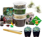 Cute Farms Terrarium Starter Kit | Moss, Vermiculite, Soil, Pebbles, Plant Food, & Finishing Tools (Medium Kit + Live Plants)