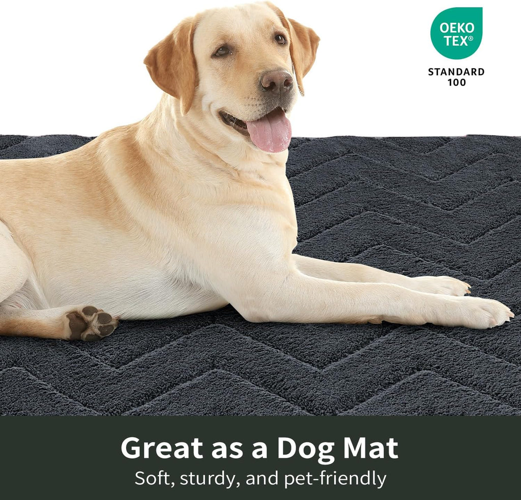 Stiio Dirt Trapper Door Mat 32x47 Inches, Front Doormat Indoor Outdoor Entrance Low Pile, All-Season, All-Weather Absorbent Entry Rug, Washable Non Slip Rug for Entryway, Dark Grey