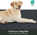 Stiio Dirt Trapper Door Mat 32x47 Inches, Front Doormat Indoor Outdoor Entrance Low Pile, All-Season, All-Weather Absorbent Entry Rug, Washable Non Slip Rug for Entryway, Dark Grey