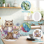 Diamond Painting Kits for Adults Beginners, 5D Full Drill Owl Crystal Art Desktop Ornament, DIY Single Sided Home Office Desk Decor, Creative Craft Gift Set with Tools
