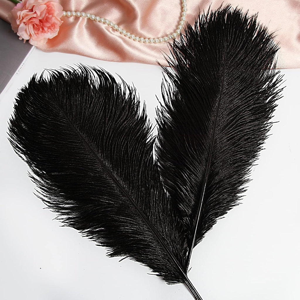 THARAHT Black Ostrich Feathers 12pcs Large Natural Bulk 20-22Inch 50cm-55cm for Wedding Party Centerpieces Halloween and Home Decoration Feathers