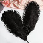 THARAHT Black Ostrich Feathers 12pcs Large Natural Bulk 20-22Inch 50cm-55cm for Wedding Party Centerpieces Halloween and Home Decoration Feathers
