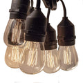 Hometown Evolution, Inc. 100 Foot E26 Commercial Outdoor Edison Bulb String Lights with Suspended Sockets (100 Foot 50 Socket, S14 Lantern Edison 11 Watt Bulbs)
