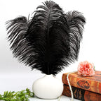 THARAHT Black Ostrich Feathers 12pcs Large Natural Bulk 20-22Inch 50cm-55cm for Wedding Party Centerpieces Halloween and Home Decoration Feathers