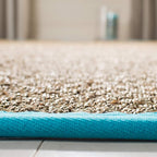 SAFAVIEH Area Rug 6x9 - Image 4
