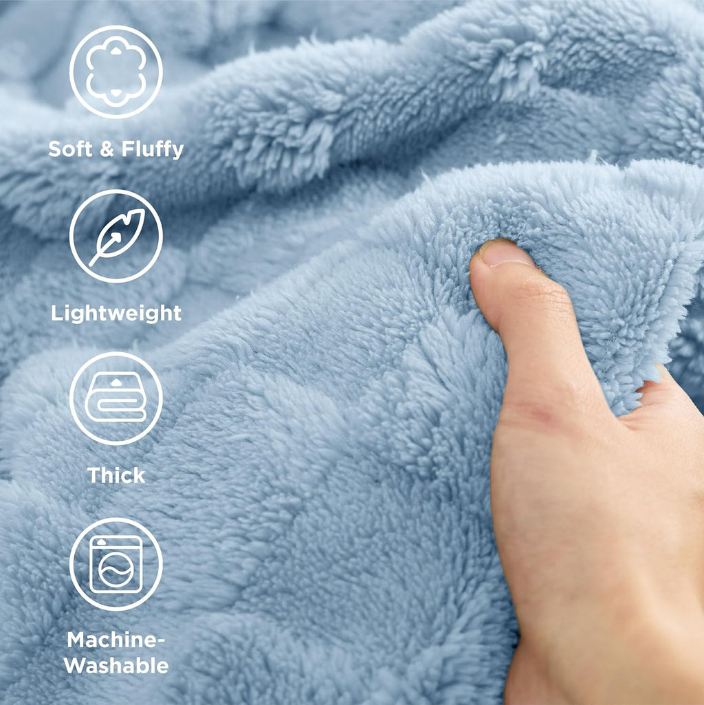 Bedsure GentleSoft Blankets Queen Size for Bed - Super Soft Cozy Blanket for Women Men Girls, Large Fuzzy Fleece Throw for Bedroom Decor, Light Blue, 90x90 Inches