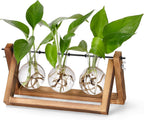 YIBOT Plants Propagation Stations,Desk Plant Terrarium with Retro Wooden Stand,Plant Lover Gifts for Women for Hydroponics Plants Home Garden Wedding Decor(3 Bulb Vase)