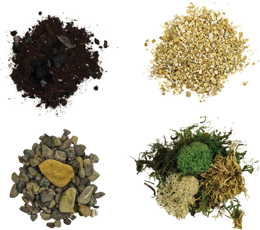 Cute Farms Terrarium Starter Kit | Moss, Vermiculite, Soil, Pebbles, Plant Food, & Finishing Tools (Medium Kit + Live Plants)