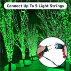 PREXTEX 100 Count Green Christmas Lights - 20 ft Warm Twinkle String Lights with Green Wire for Indoor and Outdoor Holiday Decor, Christmas Trees, Patios and More