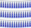 3P Blue Foil Fringe Metallic Tassel Streamers Banner Tassel Garland for Parade Floats, Bachelorette, Wedding, Birthday, Halloween, Christmas, Bridal/Baby Shower Party Decorations