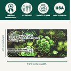 Cute Farms Terrarium Starter Kit | Moss, Vermiculite, Soil, Pebbles, Plant Food, Finishing Tools, Build and Care Guide | DIY Succulent Terrarium for Adults and Kids (Medium)