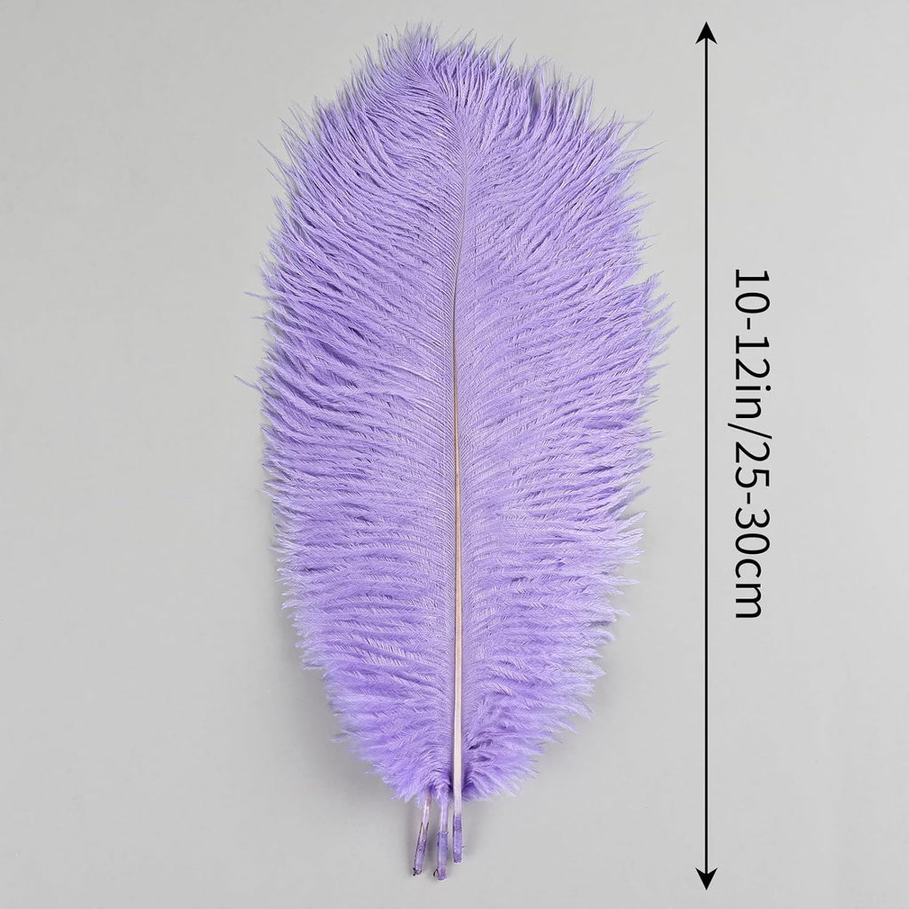 THARAHT Lavender Ostrich Feathers 12pcs Natural Bulk 10-12Inch 25cm-30cm for Crafts Wedding Party Centerpieces Easter Gatsbi and Decoration Feather