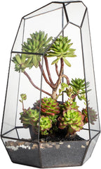 NCYP Large Geometric Terrarium - 16 Inches Tall Irregular Open Glass Terrarium Pot - Home Garden Tabletop Decoration Planter for Air Plants Succulents, Handmade (NO Plants, No Door)