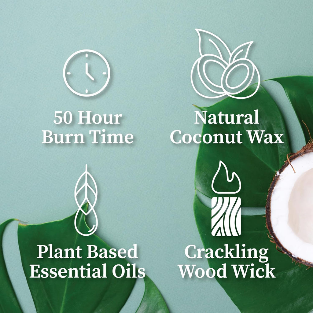Hemlock Park Wood Wick Candle Handcrafted with Natural Coconut Wax and Essential Oils (Amber & Gold 7.2 oz, White Sage)