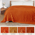 Exclusivo Mezcla Striped Twin Size Fleece Blanket - Image 3