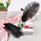 THARAHT Black Ostrich Feathers 12pcs Natural Bulk 8-10Inch 20cm-25cm for Crafts Wedding Party Centerpieces Halloween and Home Decoration Feathers