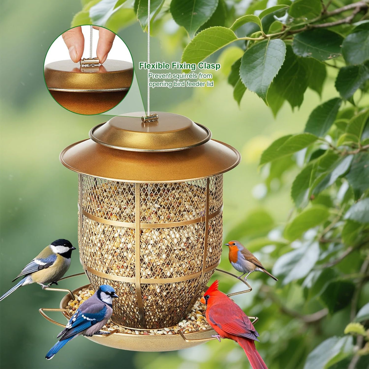 Bird Feeder for Outdoors, Funnel Style Wild Finch Feeders for Outside Hanging Courtyard Bird Watching, Metal Birdfeeder with Lid Fixing Buckle, 3Lbs Capacity