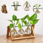 YIBOT Plants Propagation Stations,Desk Plant Terrarium with Retro Wooden Stand,Plant Lover Gifts for Women for Hydroponics Plants Home Garden Wedding Decor(3 Bulb Vase)
