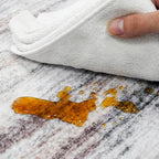 2x3 Small Washable Area Rug: Non-Slip Indoor Door Mat - Image 5