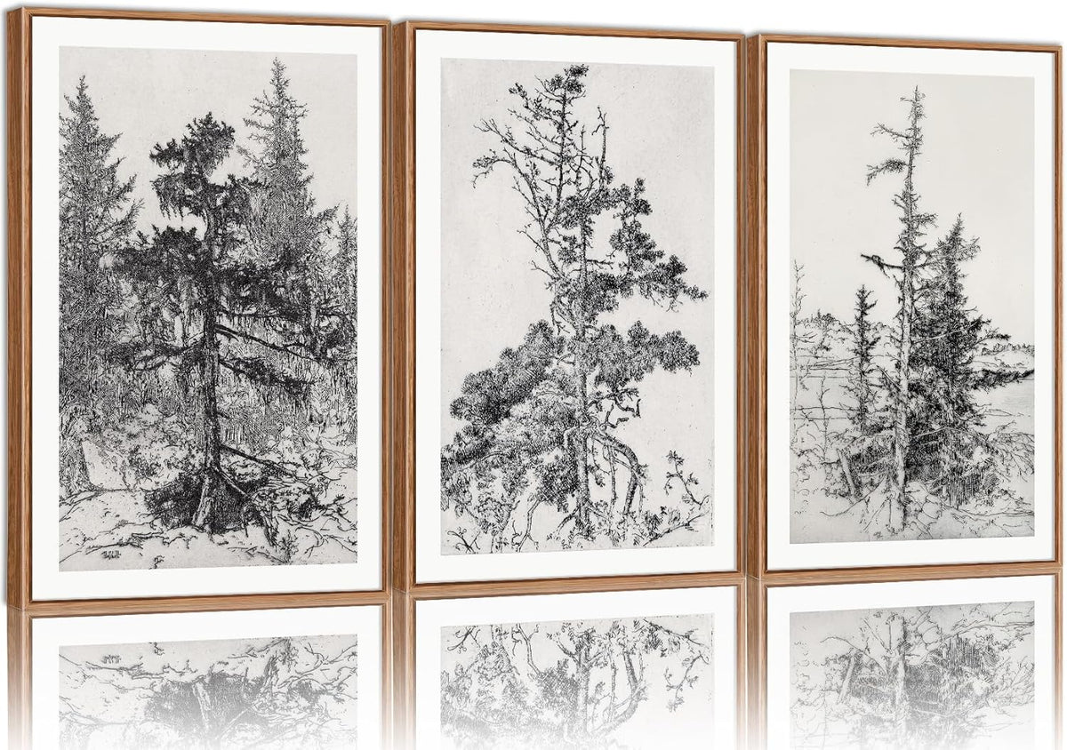 SIGNINART Vintage Tree Framed Wall Art Set , Black and White Antique Sketchbook Forest Painting, Wilderness Illustration Art Print , Retro Pine Tree Landscape Drawing Wall Decor for Living Room, Bedroom, Office (16"x24"x3)