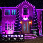 Purple Halloween Lights, 66FT 200 LED Rope Lights for Outside Waterproof with 8 Modes, Connectable Tube String Lights for Indoor, Garden, Backyard, Patio, Deck, Pool, Tree Decorations