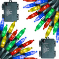 Dazzle Bright Battery Operated Christmas Lights, 2 Pack Total 32Feet 100LED Clear Mini String Lights Waterproof with 8 Modes for Xmas Indoor Outdoor Yard Holiday Wedding Decorations (Multi Color)