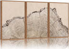 SIGNINART Large Tree Ring Framed Canvas Wall Art Set, Rustic Beige Wooden Wall Decor, Neutral Nature Wood Stump Artwork, Modern Art Prints for Bedroom Living Room Office 24"x36"x3
