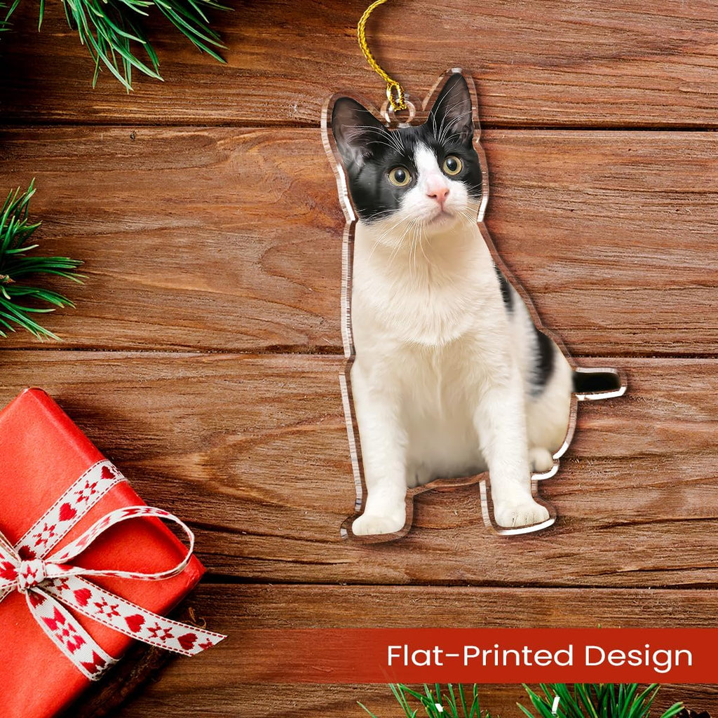 Personalized Acrylic Photo Ornament - Customized Christmas Tree Decor, Gift for Cat Lovers