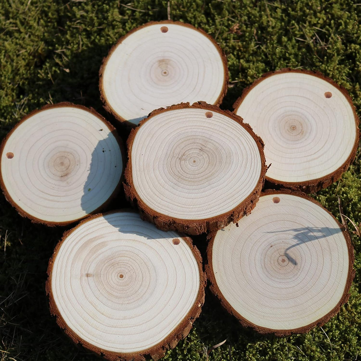 SENMUT Wood Slices 30 Pcs 3.1-3.6inch Natural Rounds Unfinished Wooden Circles Christmas Ornaments for Crafts Wood Kit Predrilled with Hole Wood Coasters, Craft Supplies for DIY and Painting