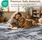 8x10 Ft Large Area Rugs for Living Room, Soft Non-Slip Washable Rugs Modern - Image 4