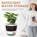 Plant Pots 8/7/6.5/6/5.5/5 Inch Self Watering Pots, Set of 6 Plastic Planters with Drainage Holes and Saucers,Plastic Flower Pots,Nursery Planting Pot for Indoor Out Door Plants（White）
