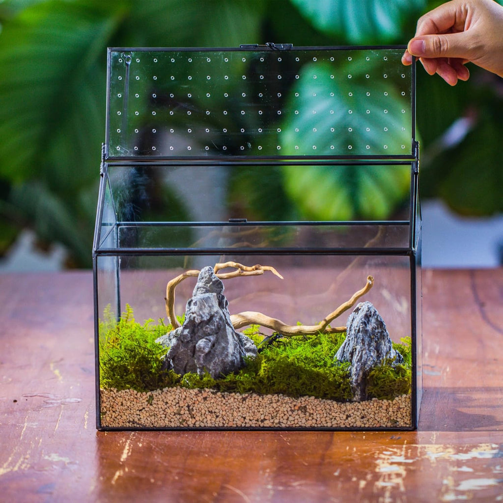NCYP House Shape Glass Terrarium with Acrylic Lid - 10.2x5.9x8.2 Inches Large Geometric Box for Snails, Ferns, Succulents, Air Plants, Indoor Tabletop Decor, Handmade (Terrarium Only)
