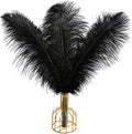 THARAHT Black Ostrich Feathers 12pcs Large Natural Bulk 16-18Inch 40cm-45cm for Wedding Party Centerpieces Halloween and Home Decoration Feathers