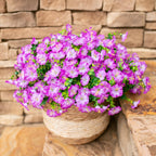 Artificial Flowers for Outdoors Fake Plants Outside Decoration, 12 Bundles Silk Purple Morning Glory UV Resistant Look Real Faux Flowers for Planter Front Door Porch Patio Yard Gardens Home
