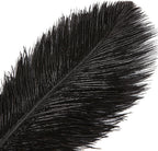 THARAHT Black Ostrich Feathers 12pcs Large Natural Bulk 20-22Inch 50cm-55cm for Wedding Party Centerpieces Halloween and Home Decoration Feathers