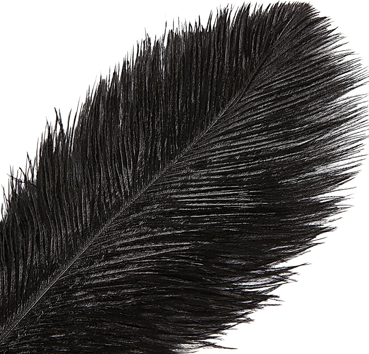 THARAHT Black Ostrich Feathers 12pcs Large Natural Bulk 12-14Inch 30cm-35cm for Wedding Party Centerpieces Halloween and Home Decoration Feathers