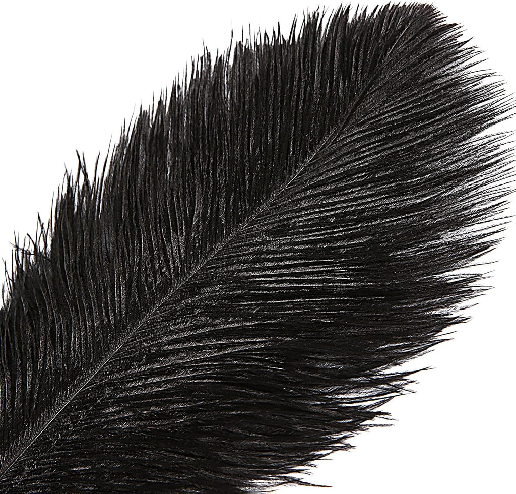 THARAHT Black Ostrich Feathers 12pcs Large Natural Bulk 16-18Inch 40cm-45cm for Wedding Party Centerpieces Halloween and Home Decoration Feathers