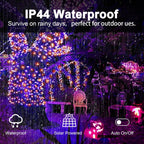2 Pack 400 LED Solar String Lights, 8 Modes Solar String Lights for Outside, Waterproof and Solar Powered Outdoor String Lights for Holiday Christmas Yard Garden Tree Wedding Party (Orange Purple)