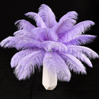THARAHT Lavender Ostrich Feathers 12pcs Natural Bulk 10-12Inch 25cm-30cm for Crafts Wedding Party Centerpieces Easter Gatsbi and Decoration Feather