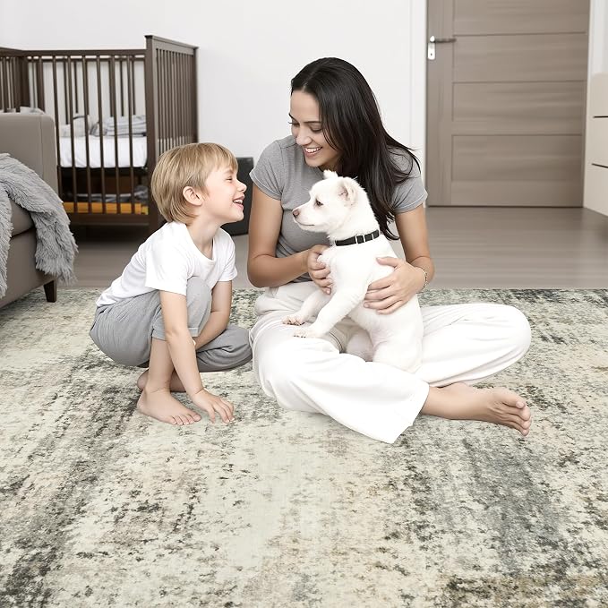 Area Rug Living Room: 4x6 Modern Washable Soft Carpet Ash Brown | - Image 7